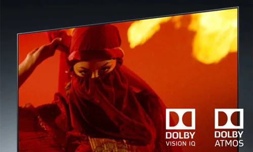 سیستم DOLBY تلویزیون 55 اینچ NANO95